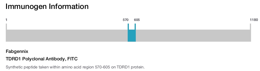 TDRD1 Polyclonal Antibody, FITC