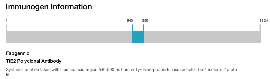 TIE2 Polyclonal Antibody