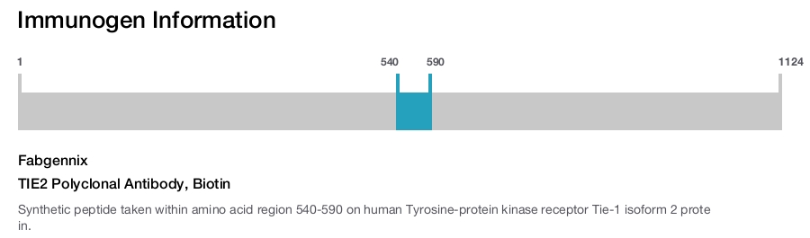 TIE2 Polyclonal Antibody, Biotin