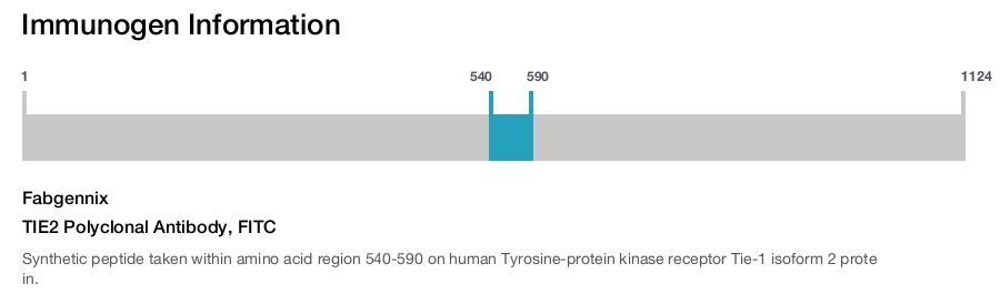 TIE2 Polyclonal Antibody, FITC