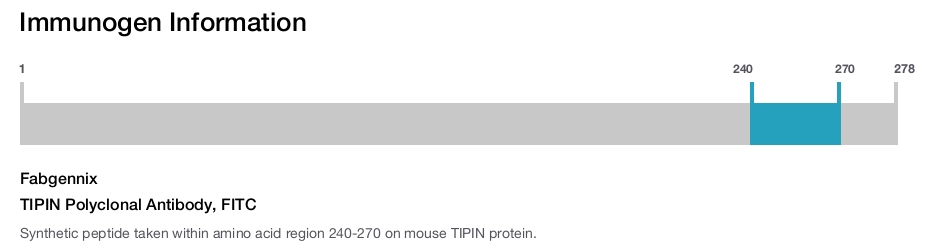 TIPIN Polyclonal Antibody, FITC