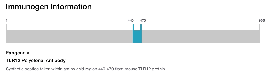 TLR12 Polyclonal Antibody