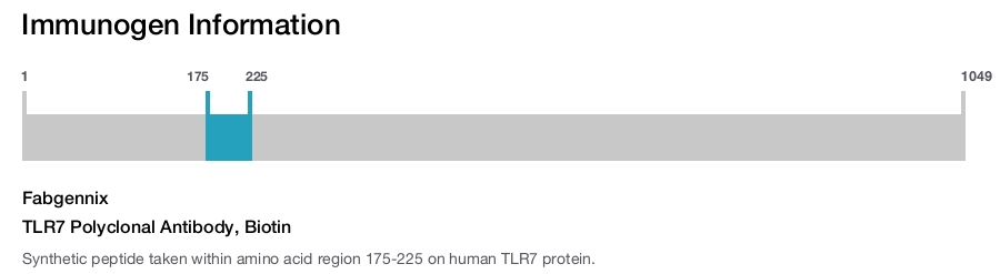 TLR7 Polyclonal Antibody, Biotin