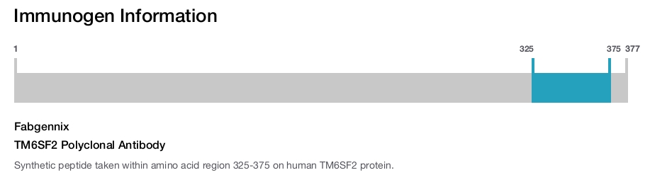TM6SF2 Polyclonal Antibody