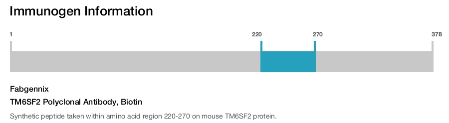 TM6SF2 Polyclonal Antibody, Biotin