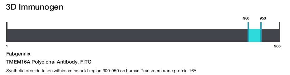 TMEM16A Polyclonal Antibody, FITC