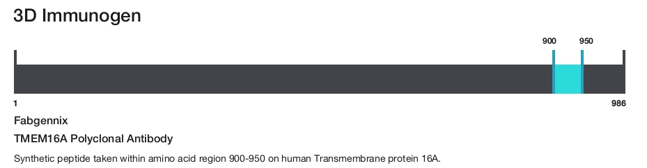 TMEM16A Polyclonal Antibody