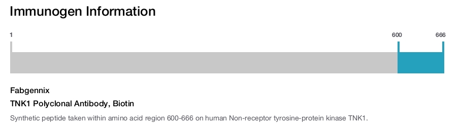 TNK1 Polyclonal Antibody, Biotin
