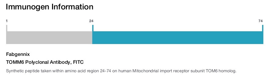 TOMM6 Polyclonal Antibody, FITC