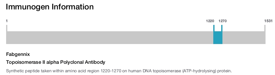 Topoisomerase II alpha Polyclonal Antibody