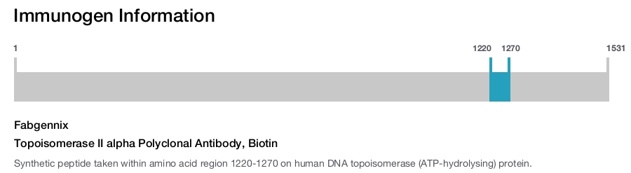 Topoisomerase II alpha Polyclonal Antibody, Biotin
