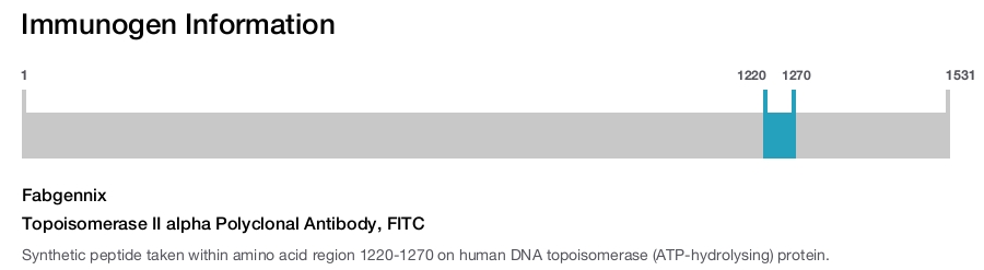 Topoisomerase II alpha Polyclonal Antibody, FITC