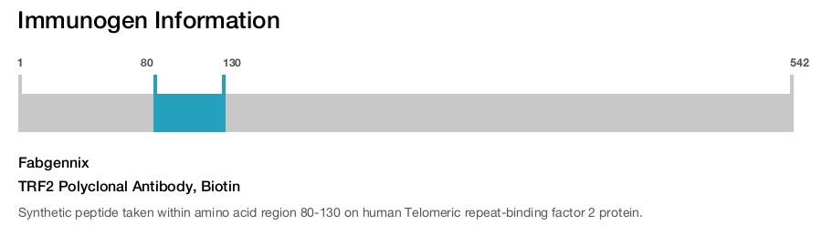 TRF2 Polyclonal Antibody, Biotin