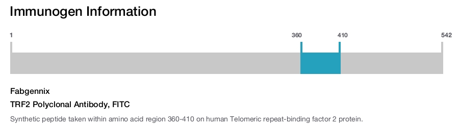 TRF2 Polyclonal Antibody, FITC