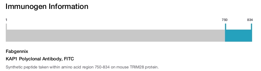 KAP1 Polyclonal Antibody, FITC