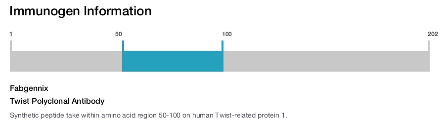 Twist Polyclonal Antibody