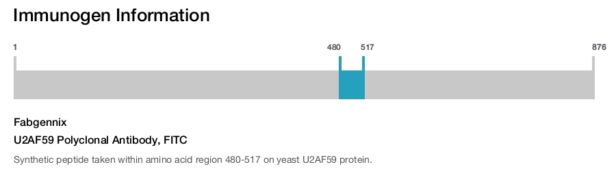 U2AF59 Polyclonal Antibody, FITC