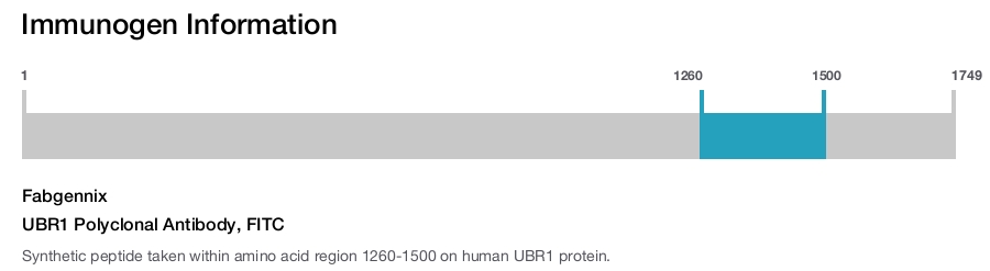 UBR1 Polyclonal Antibody, FITC