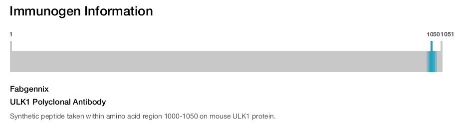 ULK1 Polyclonal Antibody