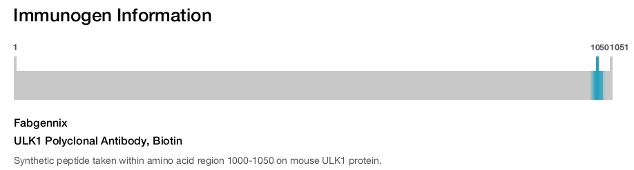ULK1 Polyclonal Antibody, Biotin