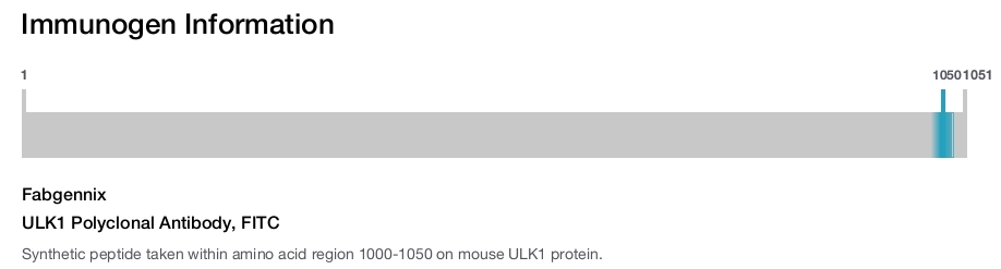 ULK1 Polyclonal Antibody, FITC