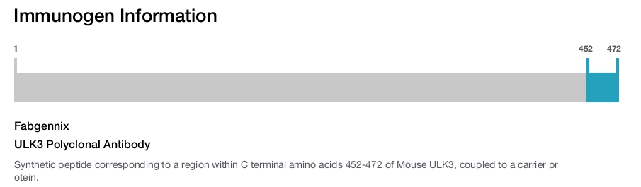 ULK3 Polyclonal Antibody