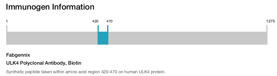 ULK4 Polyclonal Antibody, Biotin