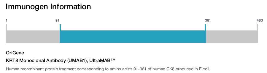 KRT8 Monoclonal Antibody (UMAB1), UltraMAB&trade;