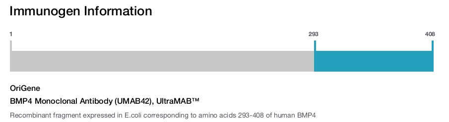 BMP4 Monoclonal Antibody (UMAB42), UltraMAB&trade;