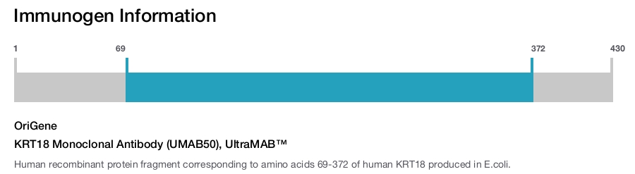 KRT18 Monoclonal Antibody (UMAB50), UltraMAB&trade;