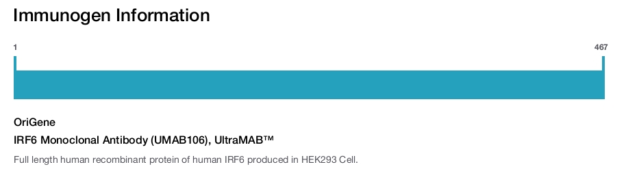 IRF6 Monoclonal Antibody (UMAB106), UltraMAB&trade;