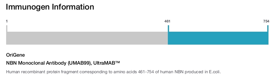 NBN Monoclonal Antibody (UMAB99), UltraMAB&trade;