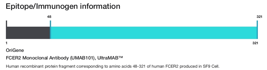 FCER2 Monoclonal Antibody (UMAB101), UltraMAB&trade;