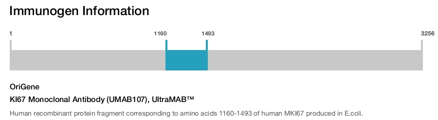 KI67 Monoclonal Antibody (UMAB107), UltraMAB&trade;