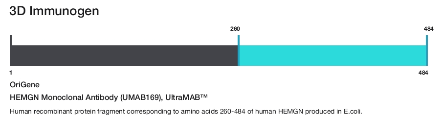 HEMGN Monoclonal Antibody (UMAB169), UltraMAB&trade;