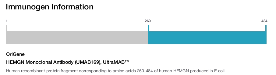 HEMGN Monoclonal Antibody (UMAB169), UltraMAB&trade;