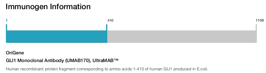 GLI1 Monoclonal Antibody (UMAB170), UltraMAB&trade;