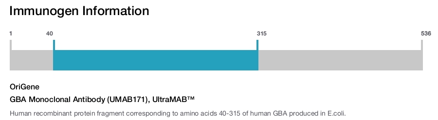 GBA Monoclonal Antibody (UMAB171), UltraMAB&trade;