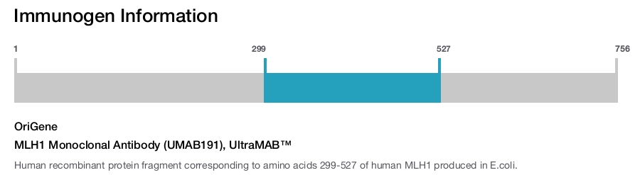 MLH1 Monoclonal Antibody (UMAB191), UltraMAB&trade;