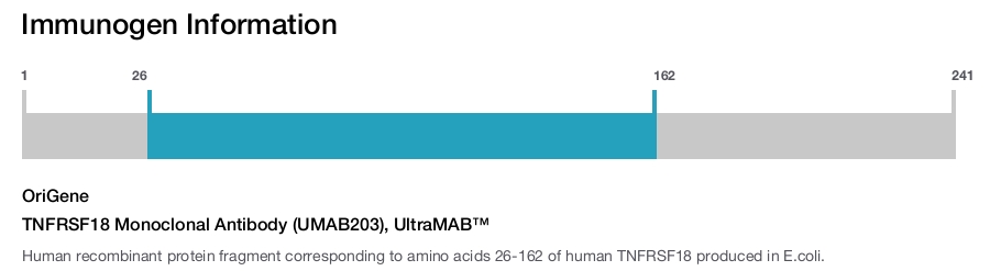 TNFRSF18 Monoclonal Antibody (UMAB203), UltraMAB&trade;