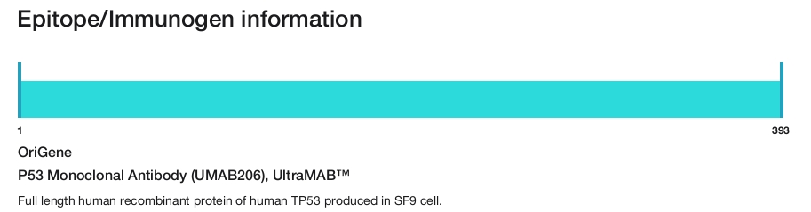 P53 Monoclonal Antibody (UMAB206), UltraMAB&trade;