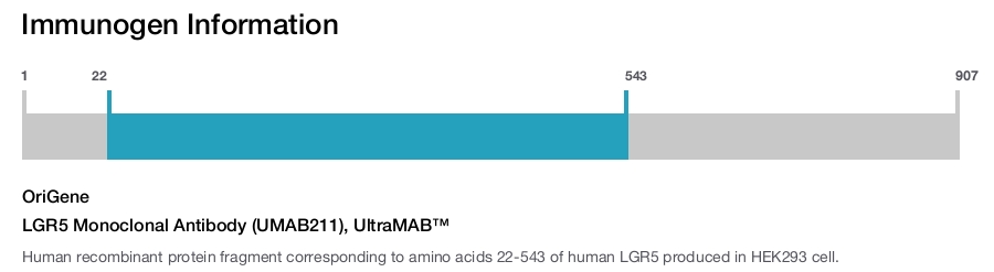 LGR5 Monoclonal Antibody (UMAB211), UltraMAB&trade;