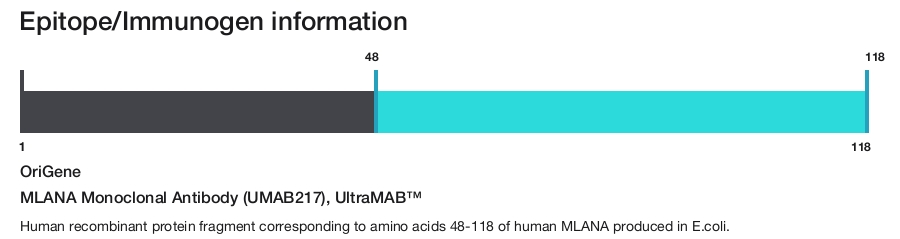 MLANA Monoclonal Antibody (UMAB217), UltraMAB&trade;