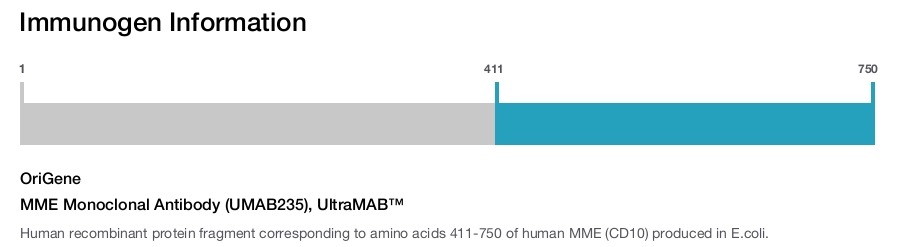 MME Monoclonal Antibody (UMAB235), UltraMAB&trade;