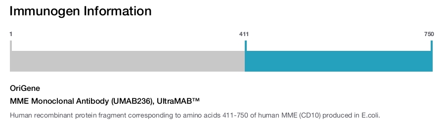 MME Monoclonal Antibody (UMAB236), UltraMAB™