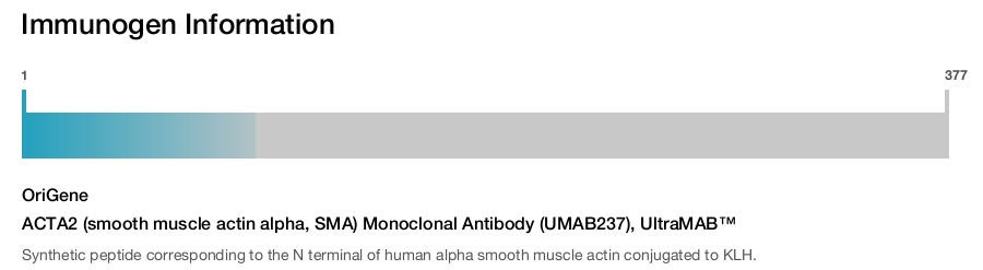 ACTA2 (smooth muscle actin alpha, SMA) Monoclonal Antibody (UMAB237), UltraMAB&trade;