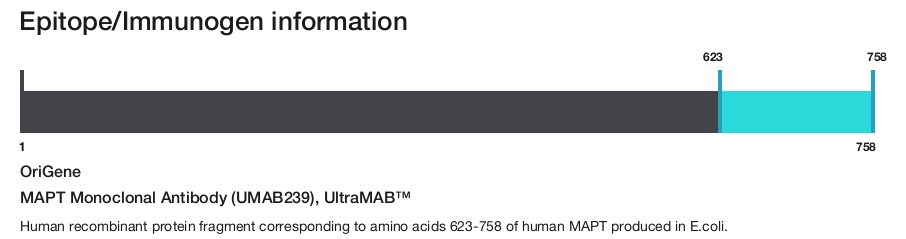 MAPT Monoclonal Antibody (UMAB239), UltraMAB&trade;