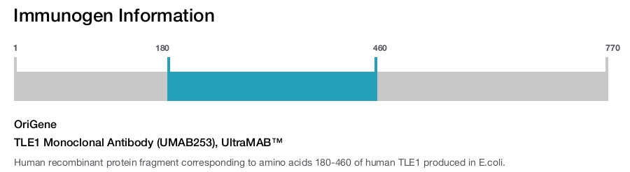 TLE1 Monoclonal Antibody (UMAB253), UltraMAB&trade;
