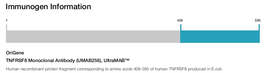 TNFRSF8 Monoclonal Antibody (UMAB256), UltraMAB&trade;