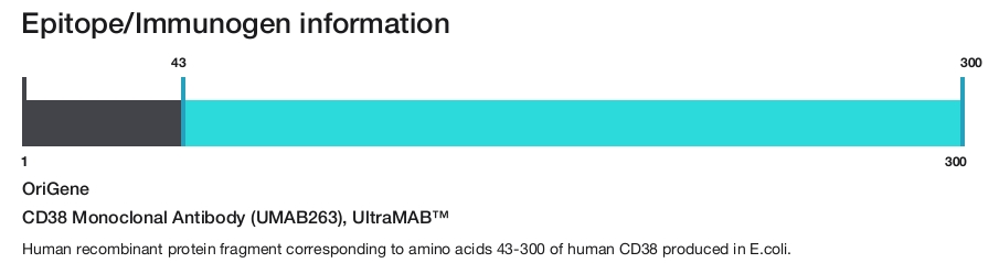 CD38 Monoclonal Antibody (UMAB263), UltraMAB&trade;